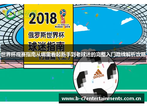 世界杯观赛指南从哪里看起新手到老球迷的完整入门路线解析攻略