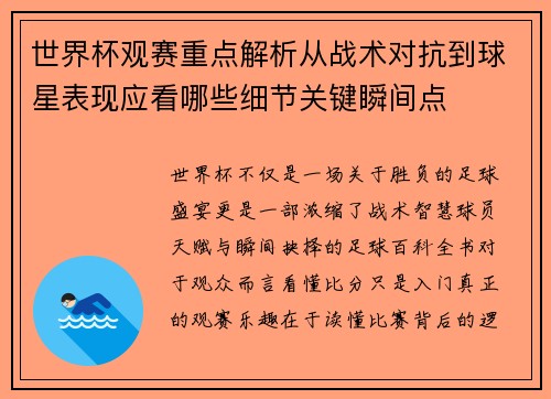 世界杯观赛重点解析从战术对抗到球星表现应看哪些细节关键瞬间点