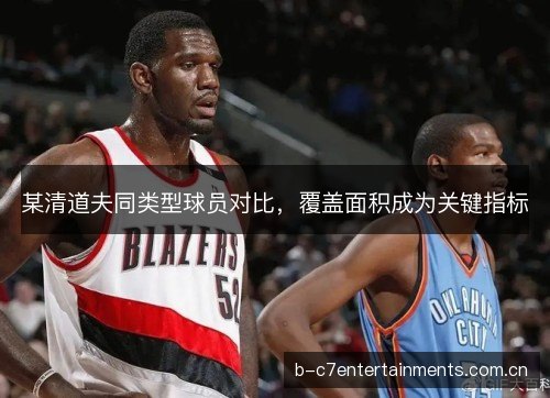 某清道夫同类型球员对比，覆盖面积成为关键指标